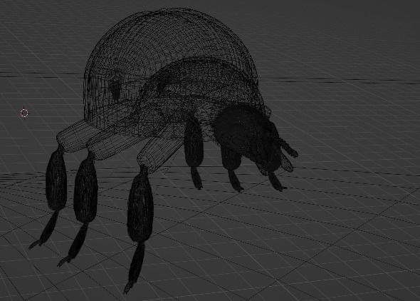 Ladybug Free 3D model_4