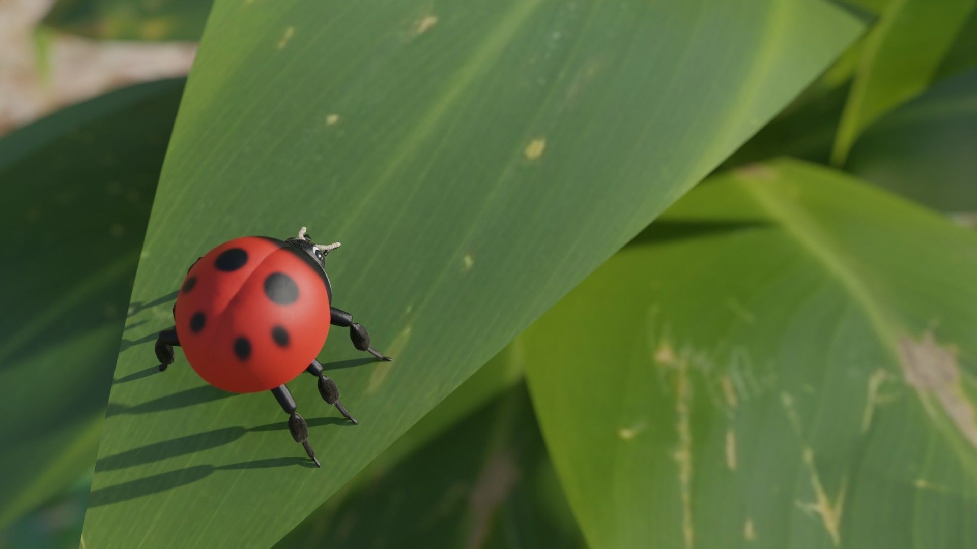 Ladybug Free 3D model_2