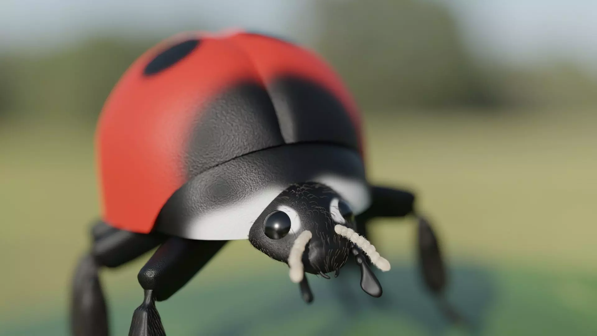 Ladybug Free 3D model_0