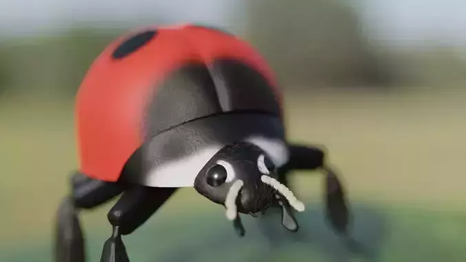 Ladybug Free 3D model