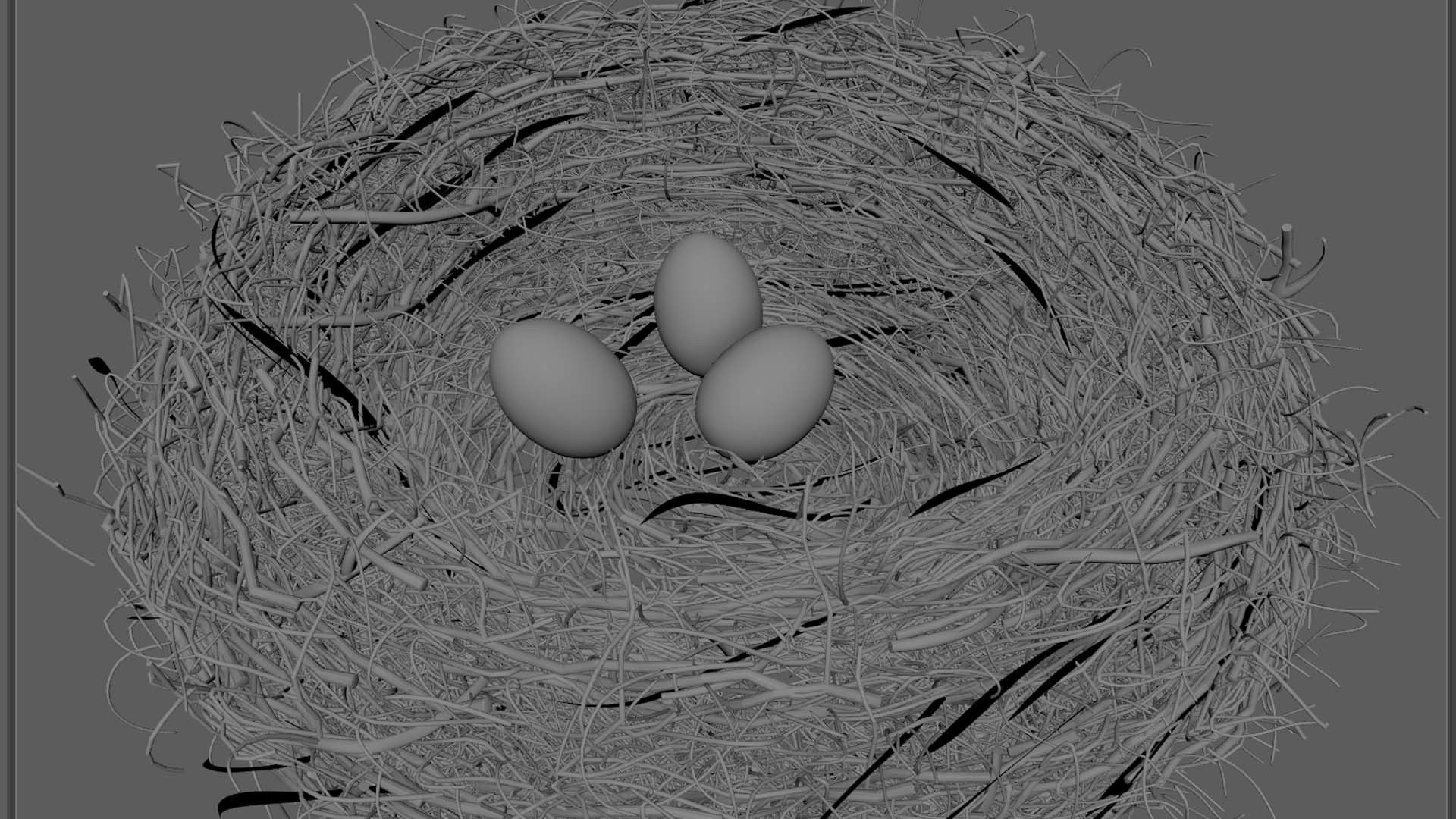 Bird Nest 3D model_6