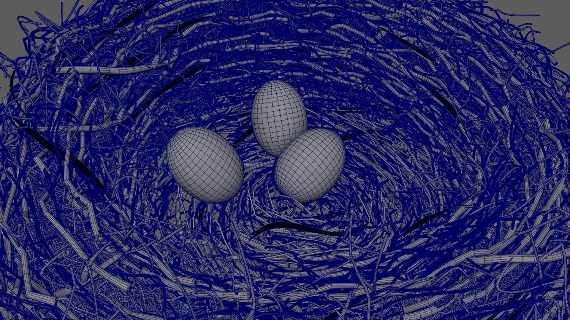 Bird Nest 3D model_7