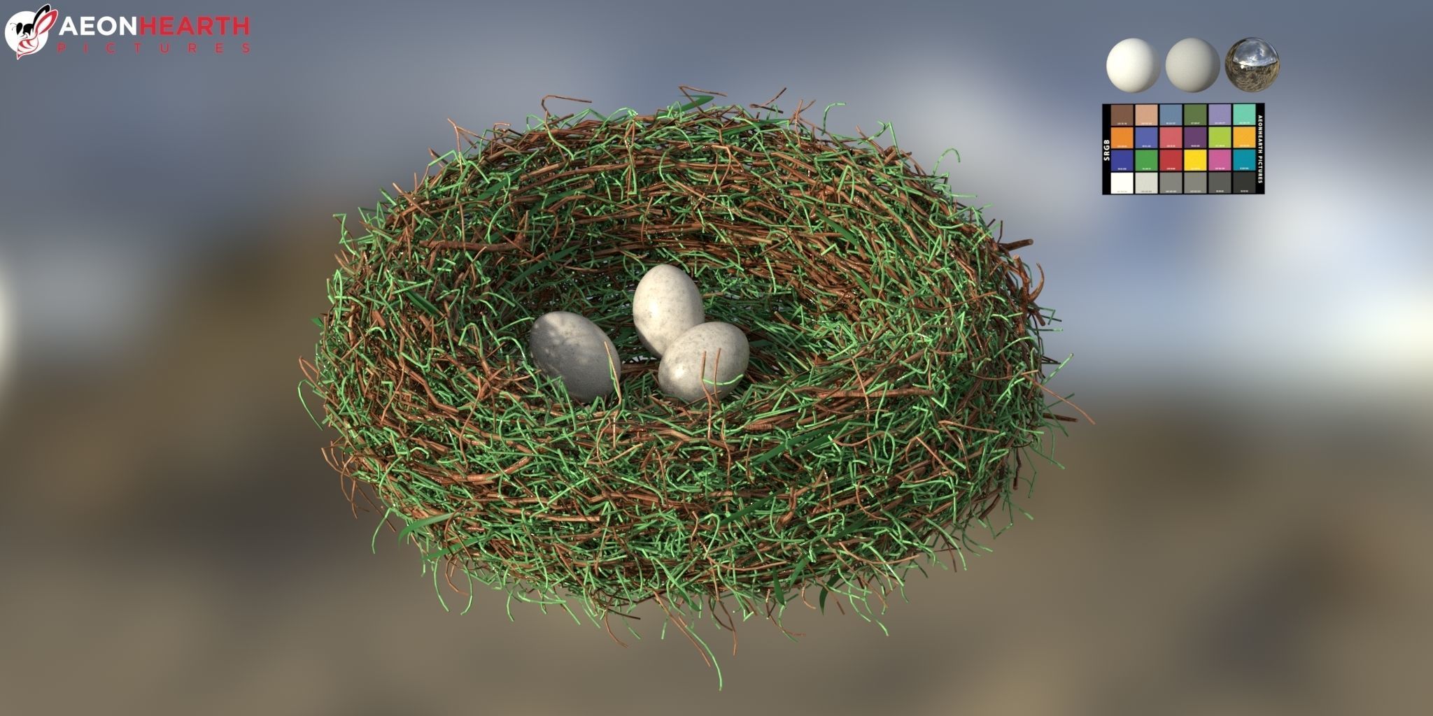 Bird Nest 3D model_1