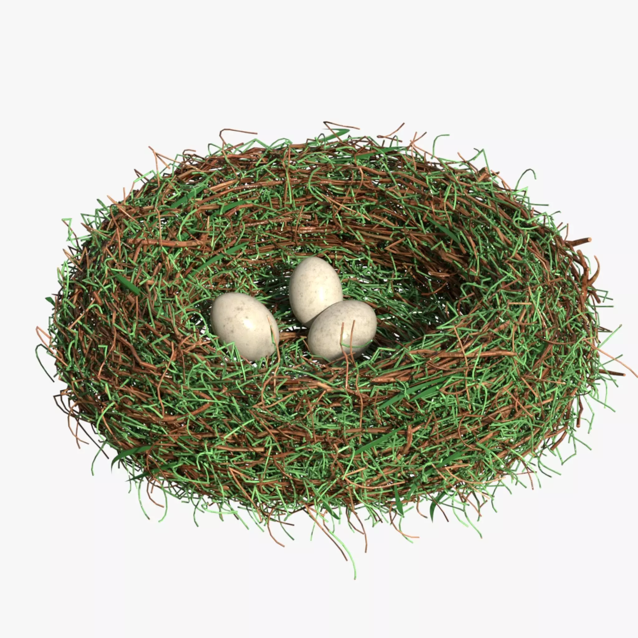 Bird Nest 3D model_0