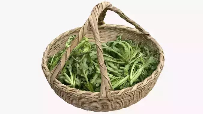 A basket of vegetables 3d scan