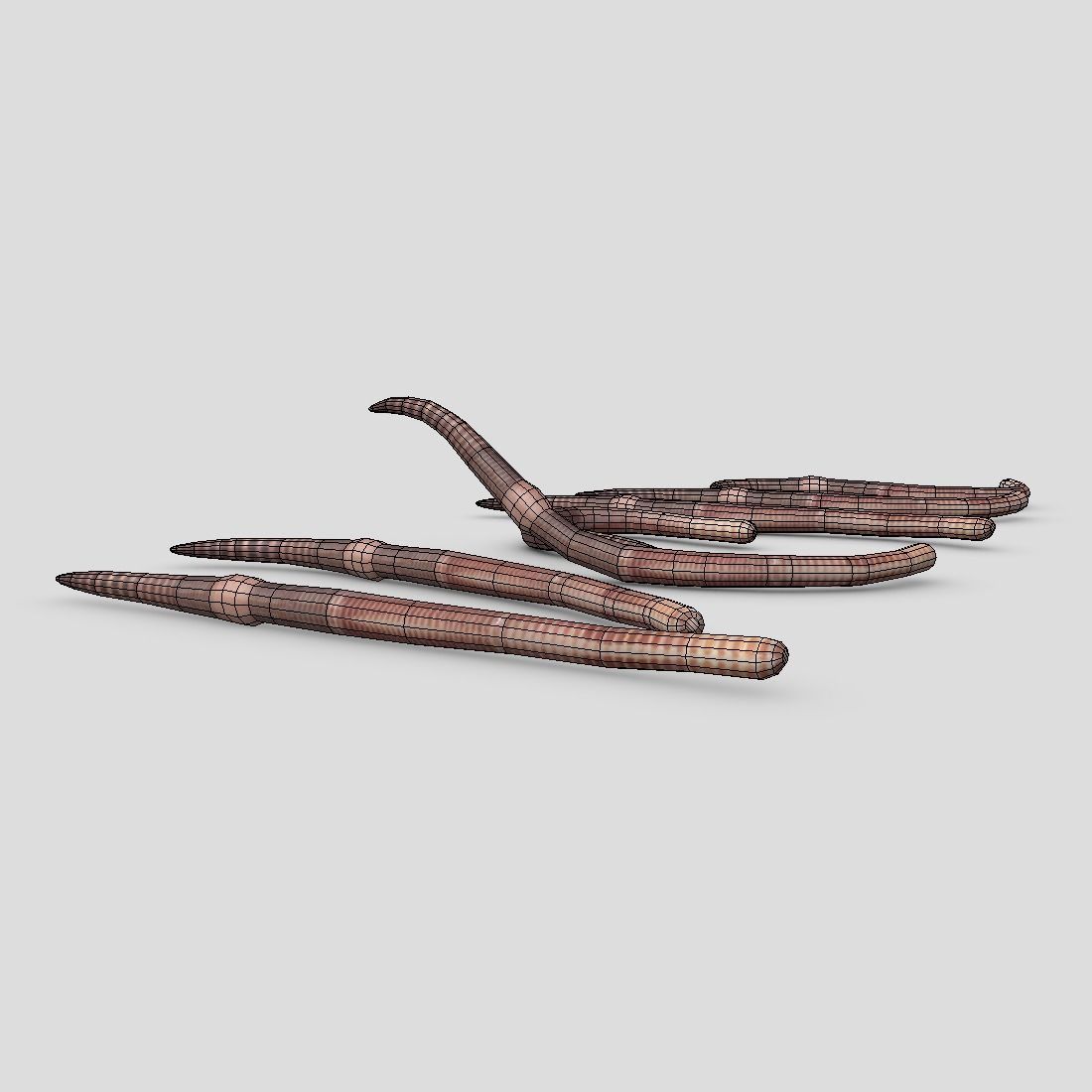 Earthworm set of wooden tusks Low-poly 3D model_10