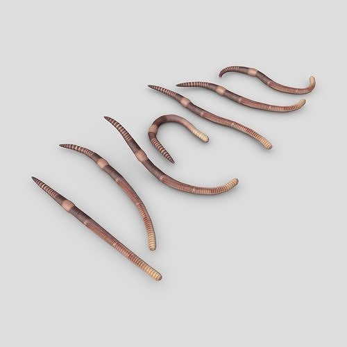 Earthworm set of wooden tusks Low-poly 3D model