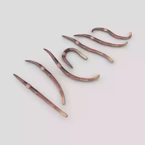 Earthworm set of wooden tusks Low-poly 3D model