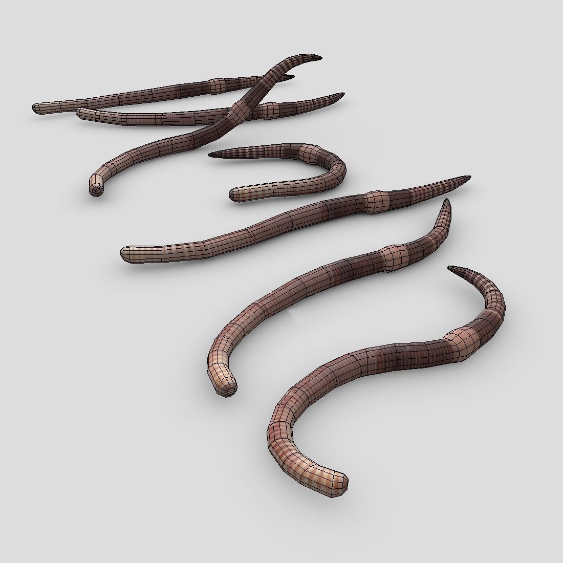 Earthworm set of wooden tusks Low-poly 3D model_6