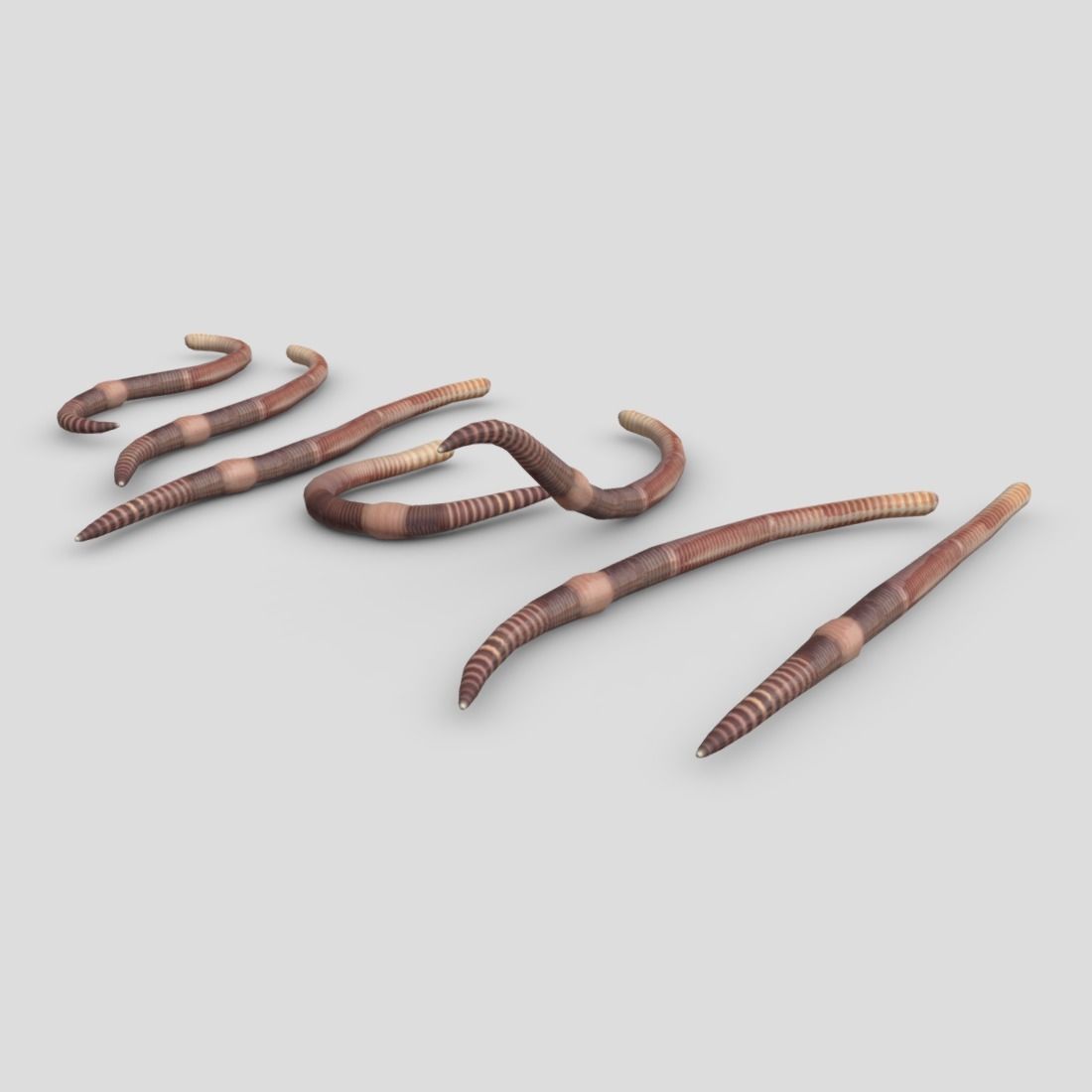 Earthworm set of wooden tusks Low-poly 3D model_11