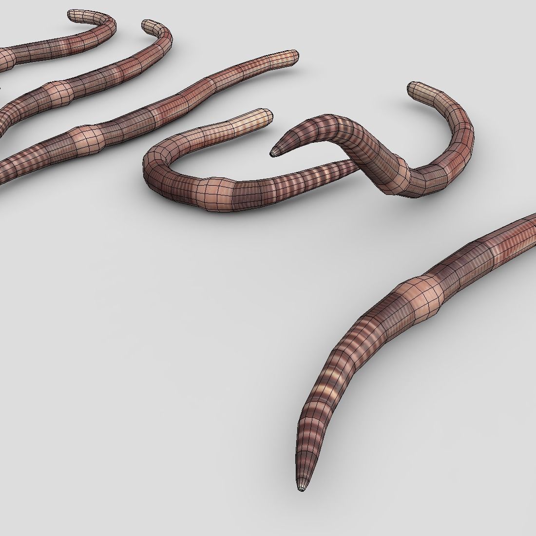 Earthworm set of wooden tusks Low-poly 3D model_14