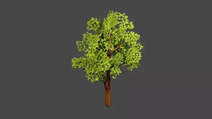 Maple tree 3D model