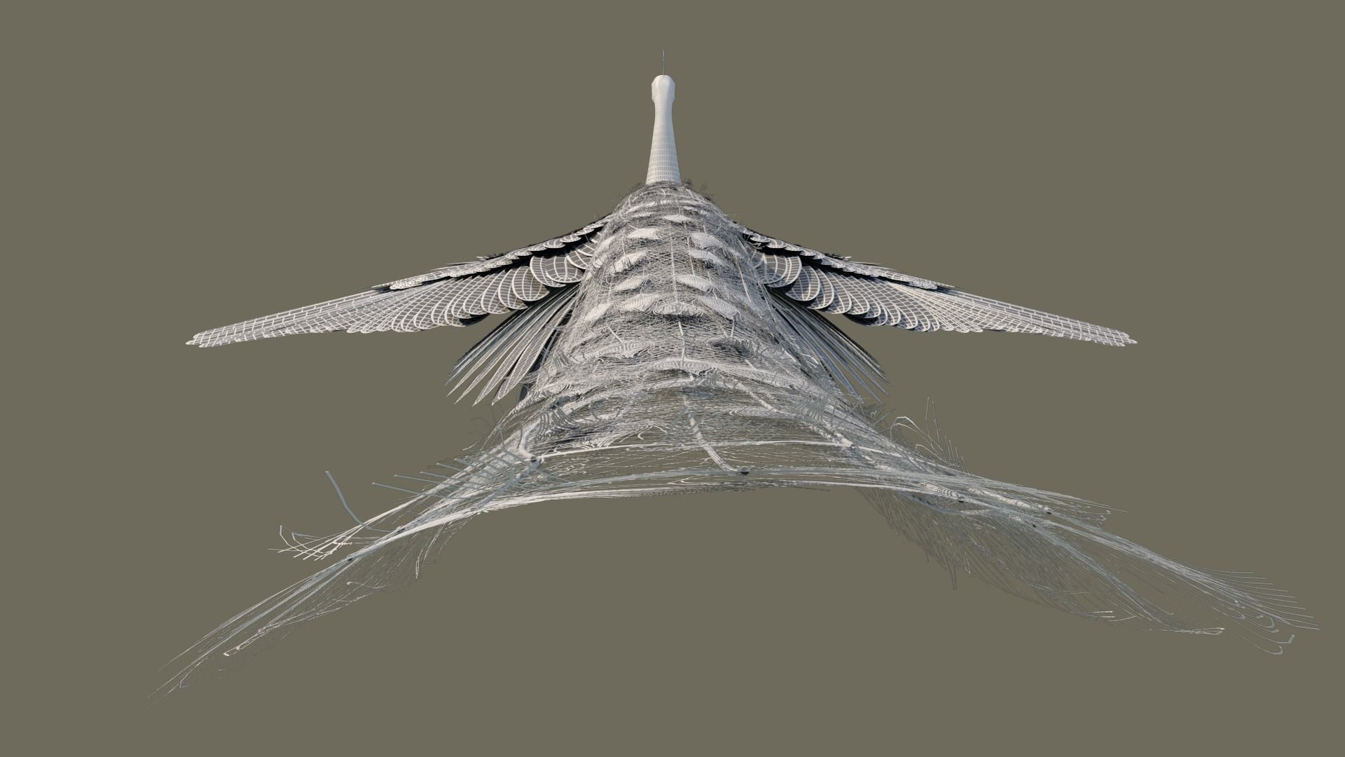 Peacock 3D model in flight 3D model_11