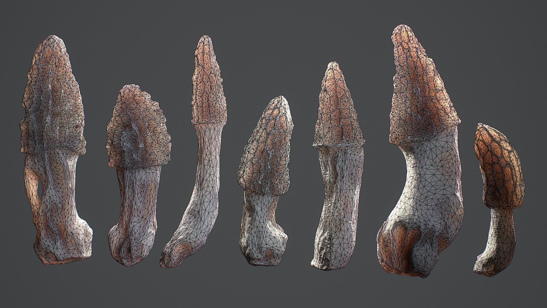 Forest Mushrooms - Morel Conical Low-poly 3D model_3