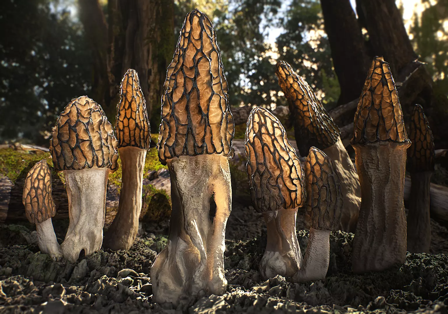Forest Mushrooms - Morel Conical Low-poly 3D model_0