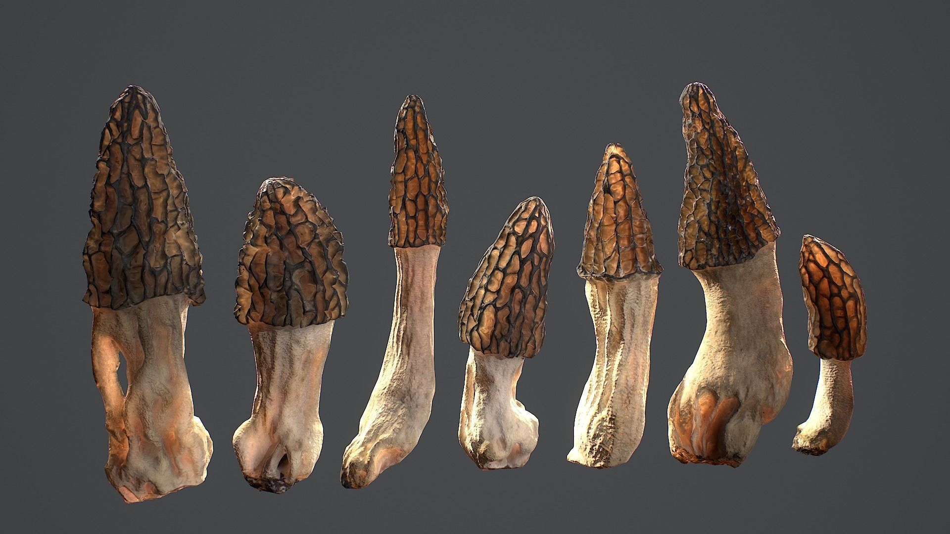 Forest Mushrooms - Morel Conical Low-poly 3D model_1