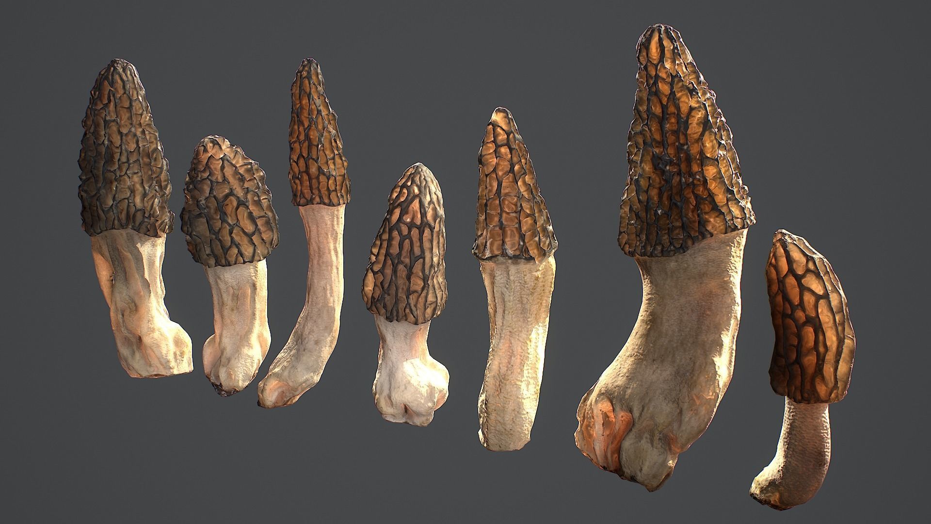 Forest Mushrooms - Morel Conical Low-poly 3D model_2