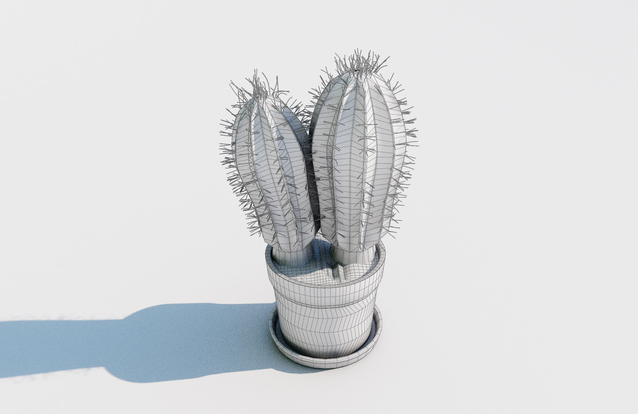 Potted Cactus Plant 3D model | CGTrader