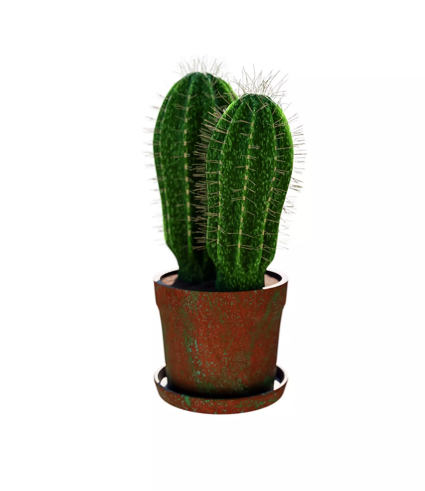 Potted Cactus Plant 3D model