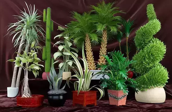 Realistic Plants Collection in pots 3D model
