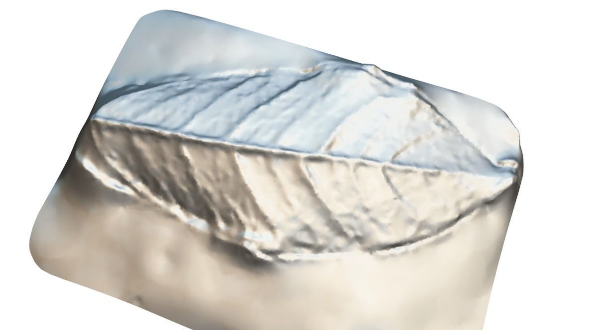 Green Leaf 1 3D Scan 3D model_2