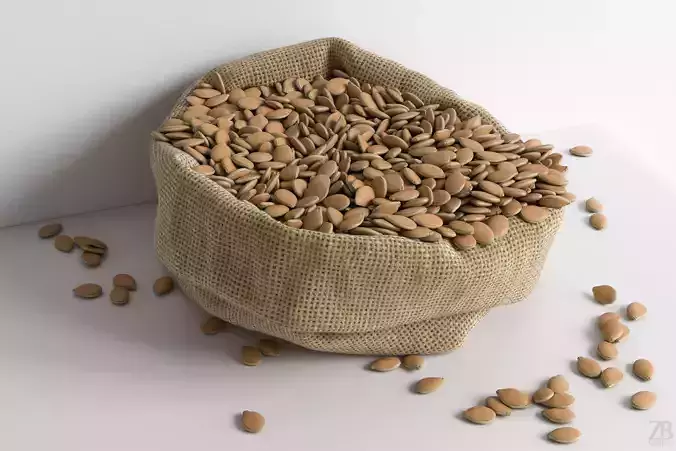 Pumpkin Seed 3D model