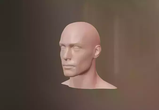 Male Head 3D model