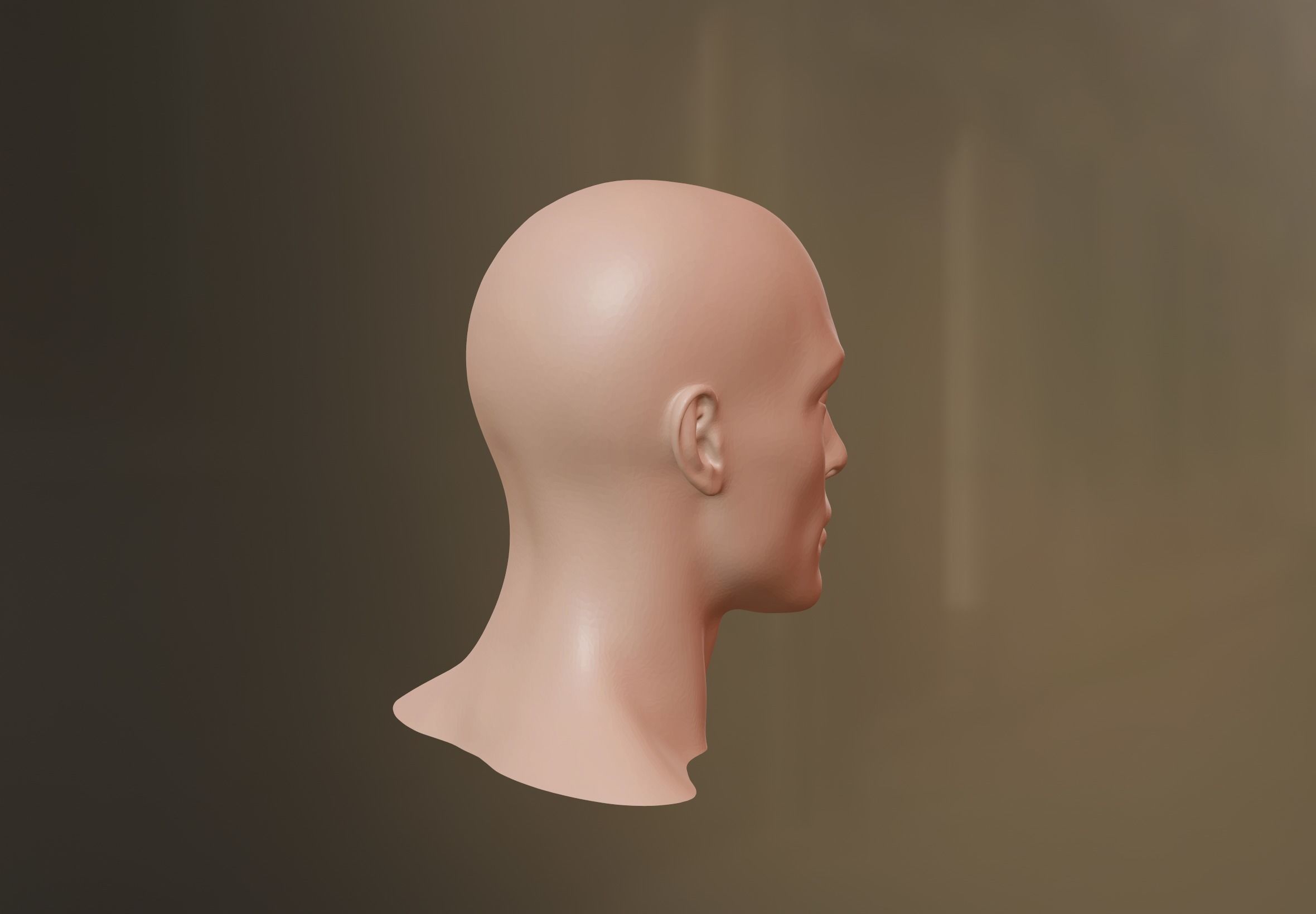 Male Head 3D model 3D model_1