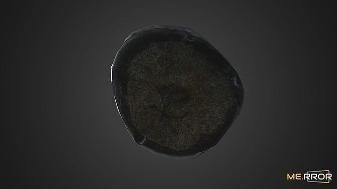 Game Ready Korean Squid Ink Bread Low-poly 3D model 7