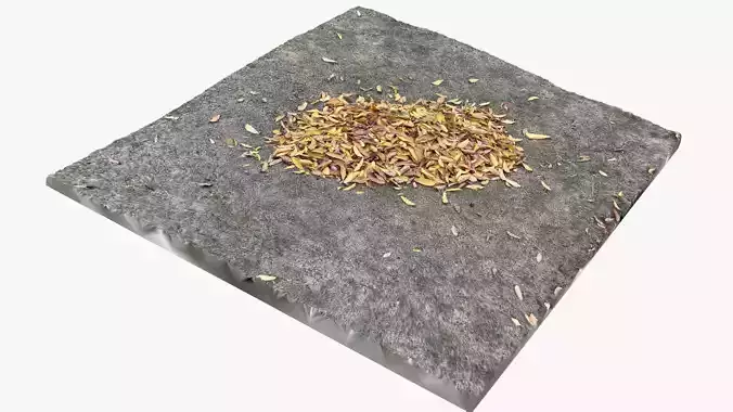 Leaves on the ground 3d scan
