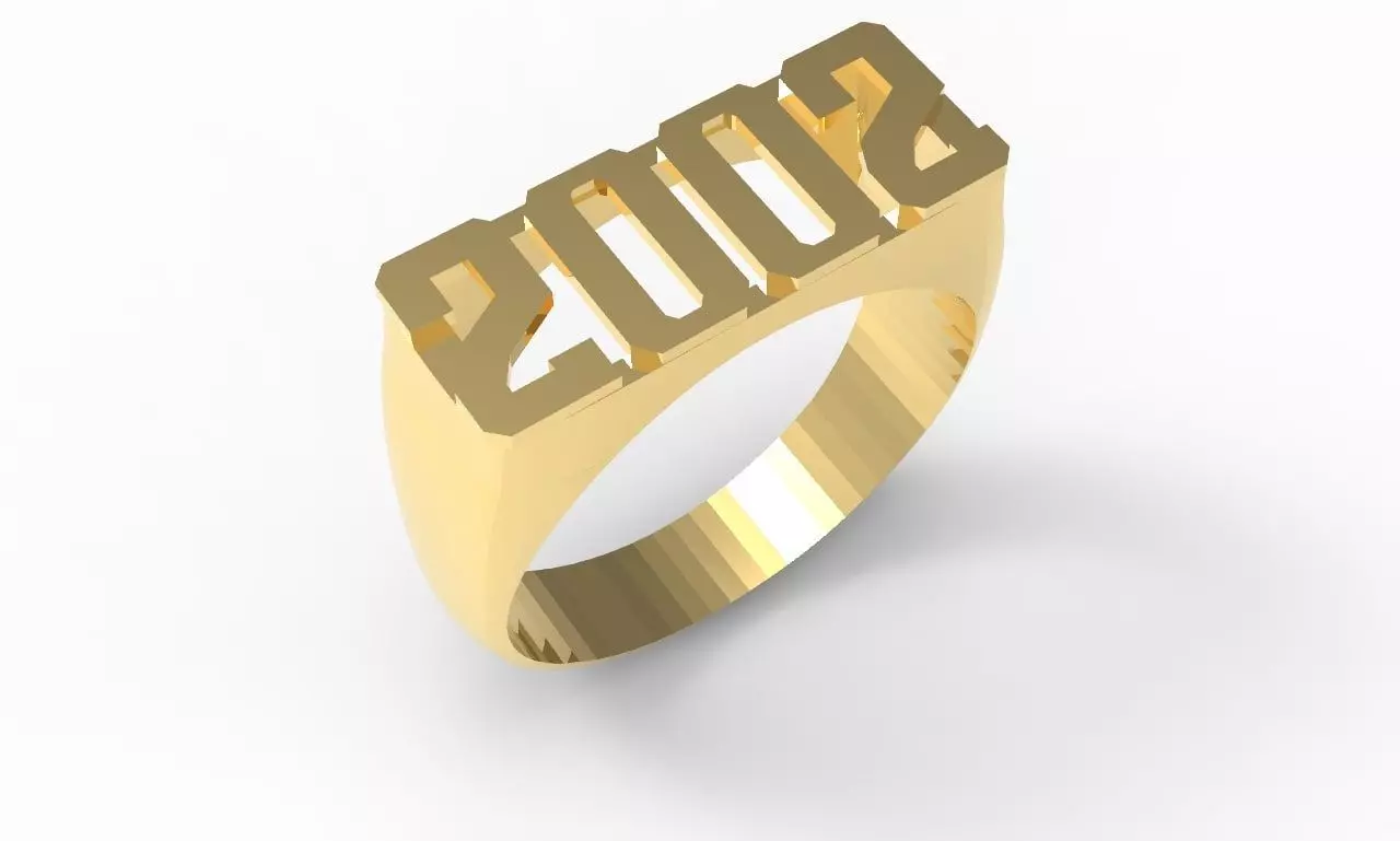 Ring 2002 3D print model