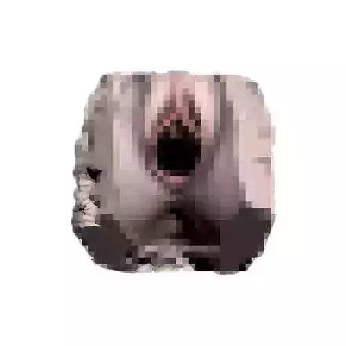 Girl Pussy and vagina