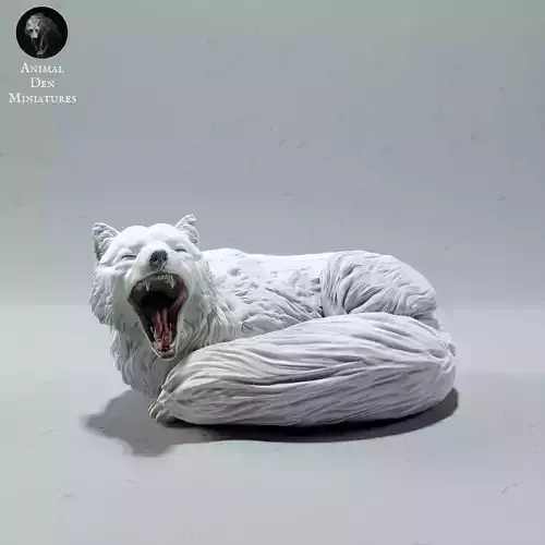 Arctic Fox Sleep