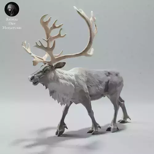Reindeer - Caribou Bull Call 3D print model Reindeer - Caribou Bull Call 3D print model