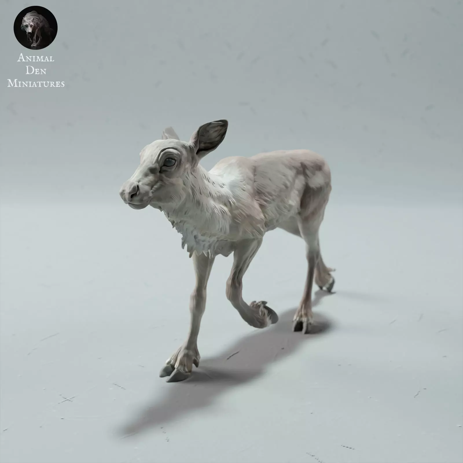 Reindeer - Caribou Calf 3D print model_0
