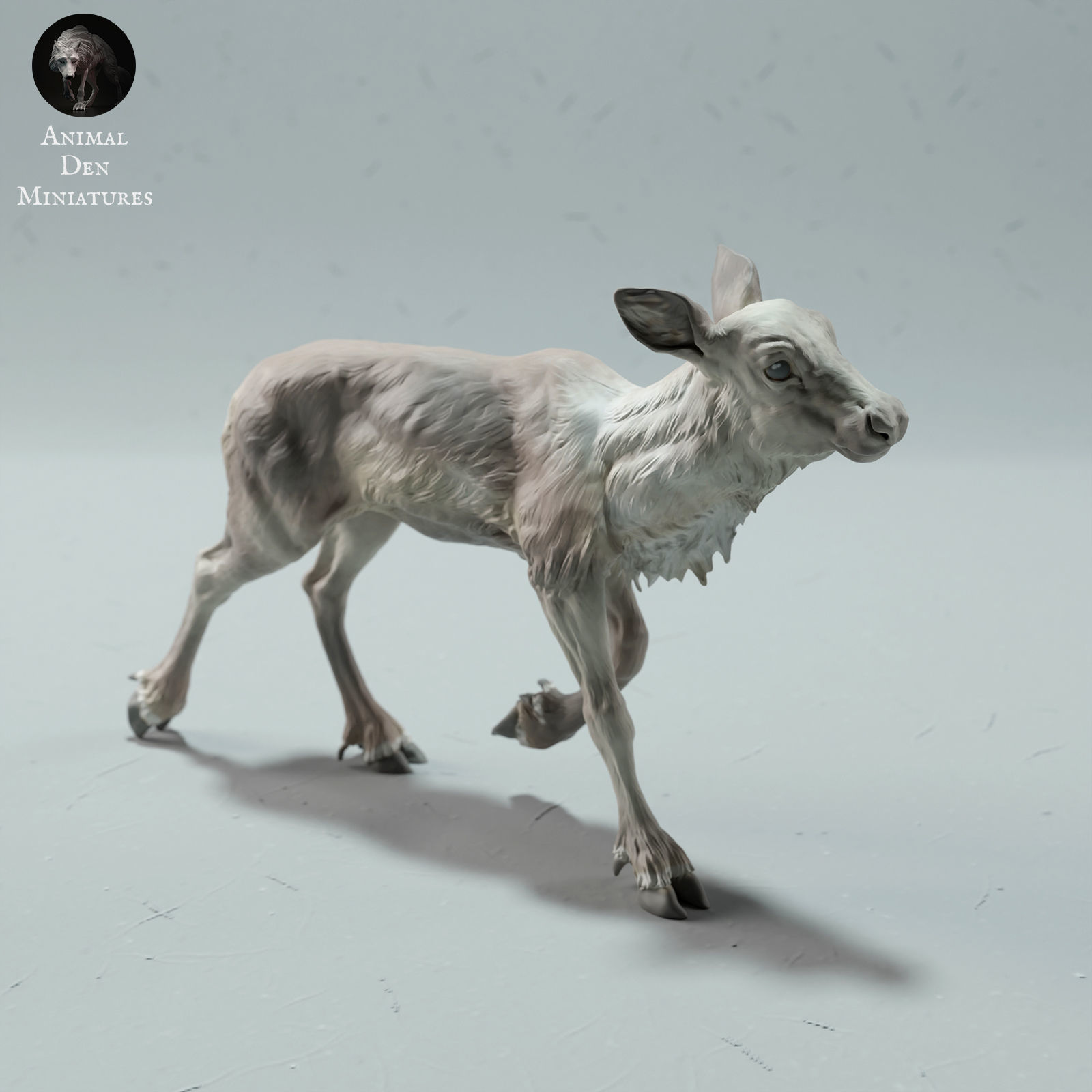 Reindeer - Caribou Calf 3D print model_1