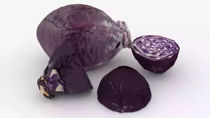Realistic Purple Cabbage