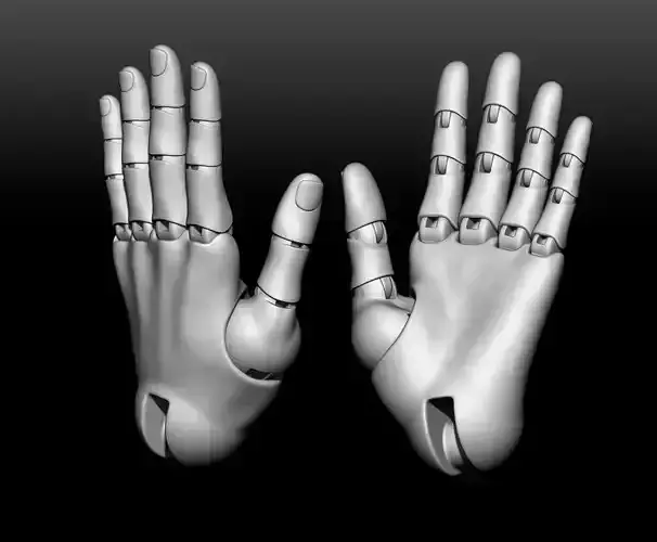 Articulated arms Hand BJD Print STL  legs