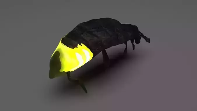 Glow Worm 3D model