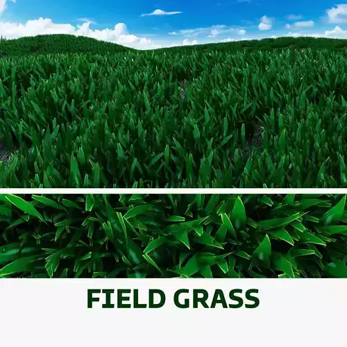 Lawn Grass Realistic 3D