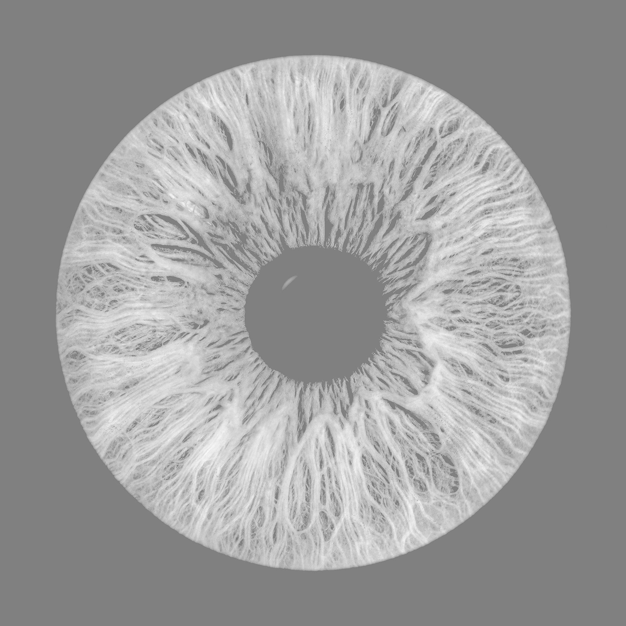 Human Eye Low-poly 3D model_9