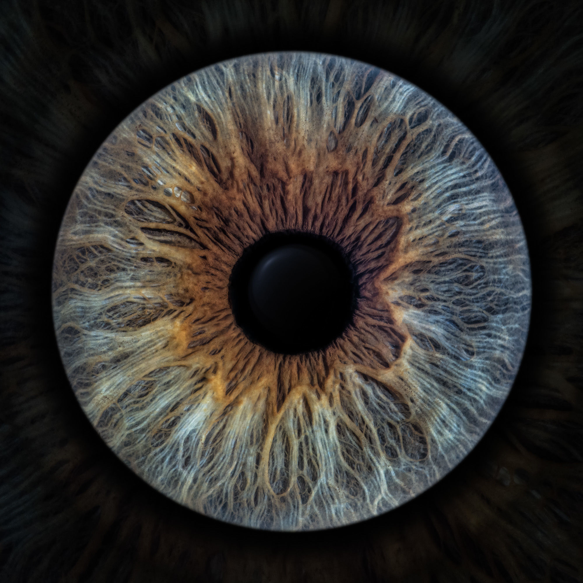 Human Eye Low-poly 3D model_14