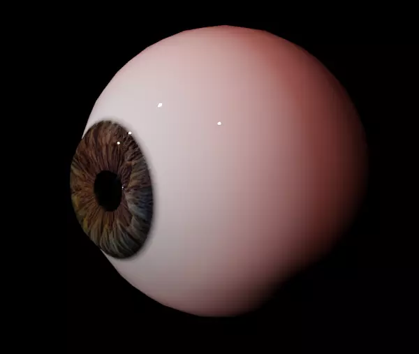Human Eye Low-poly 3D model_0