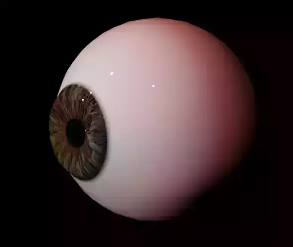 Human Eye Low-poly 3D model