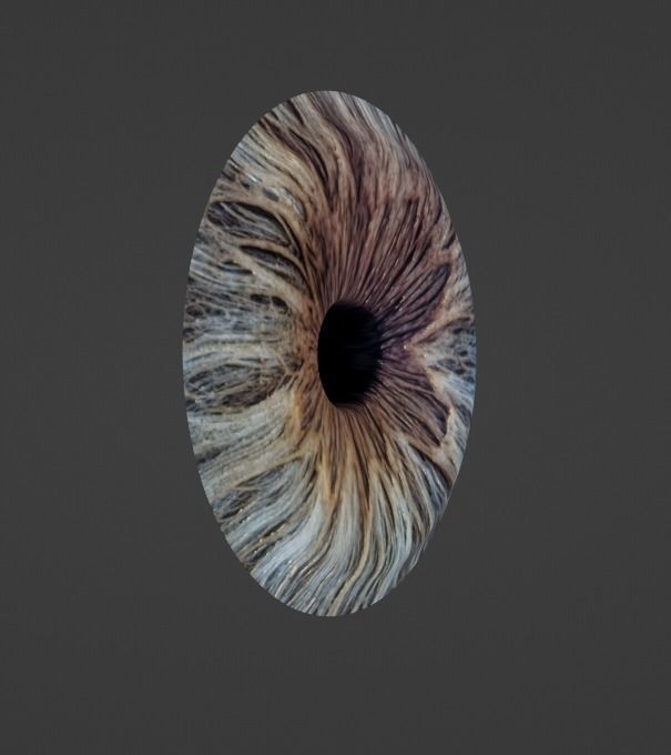 Human Eye Low-poly 3D model_7