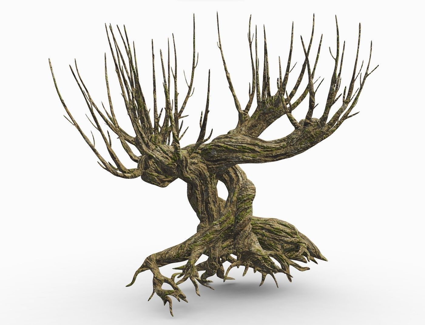Whomping Willow 3D model_11