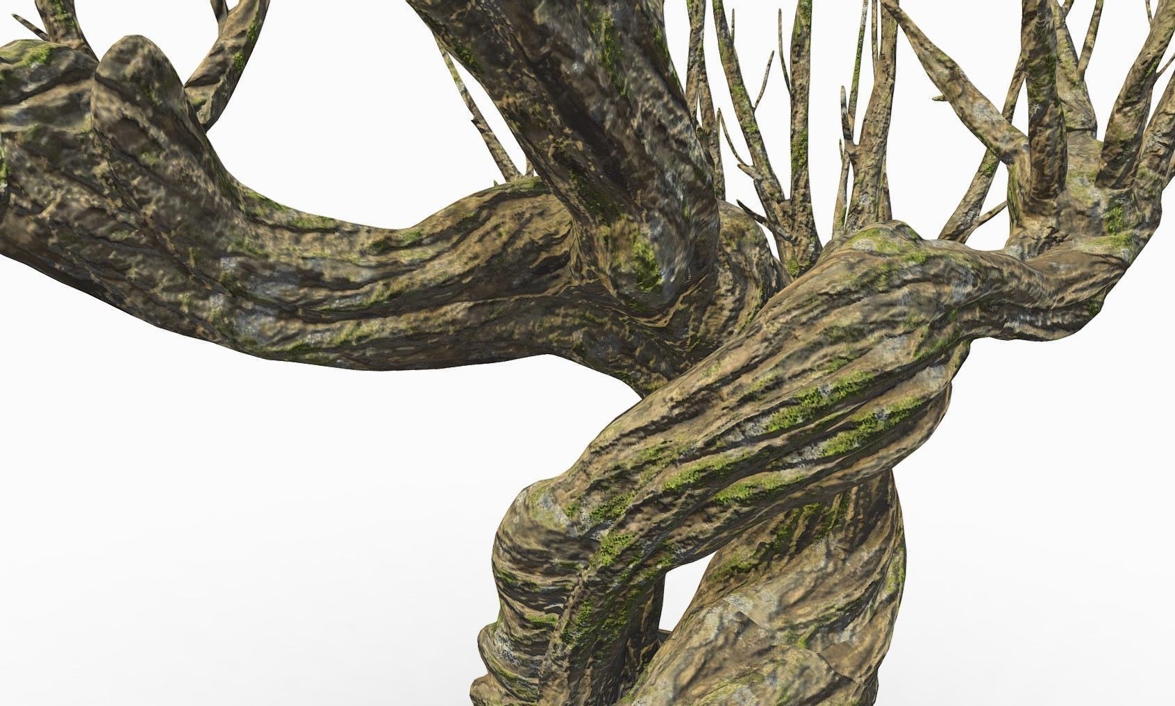 Whomping Willow 3D model_3