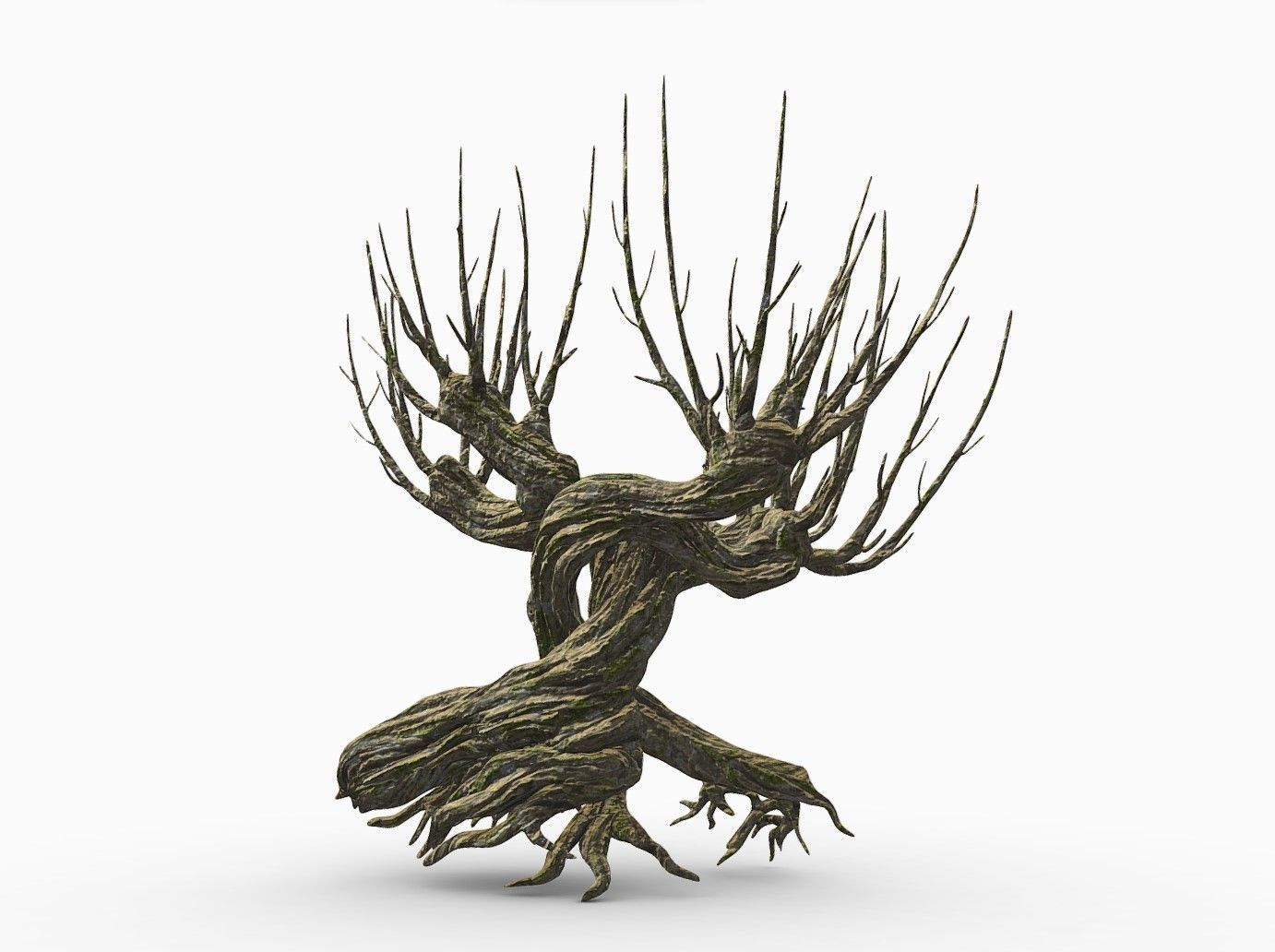 Whomping Willow 3D model_1