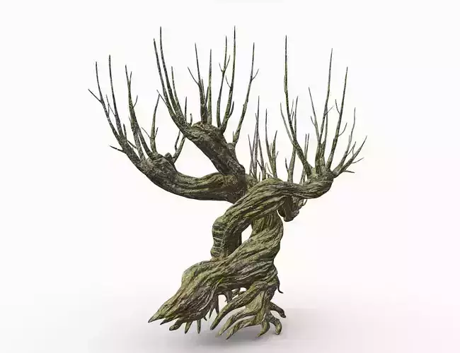 Whomping Willow 3D model