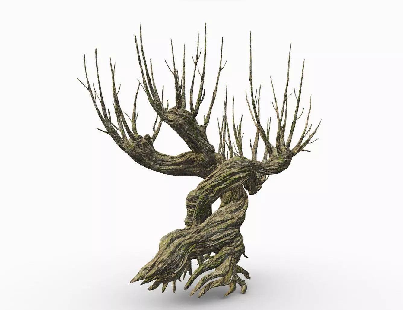 Whomping Willow 3D model_0